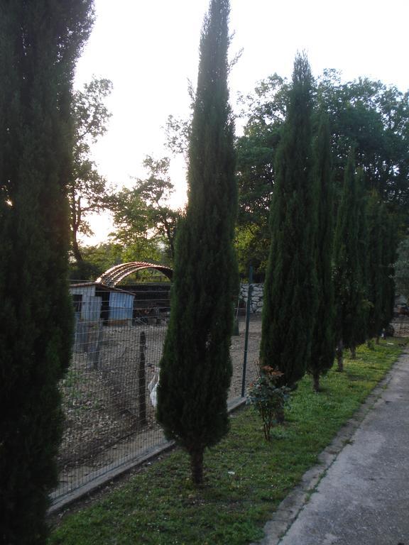 Agriturismo La Fattoria サン・ドナート・ヴァル・ディ・コミーノ エクステリア 写真
